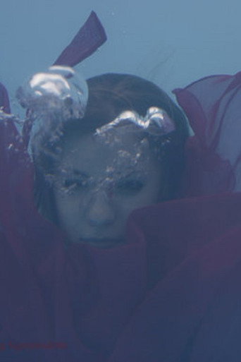 Movie poster for Uniform Sierra (2008)