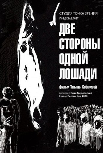 Movie poster for Two Sides of One Horse (2013)