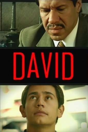 Movie poster for David (2005)