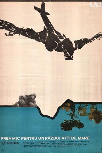 Movie poster for Too Little for Such a Big War (1970)