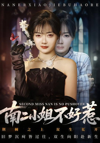 南二小姐不好惹 poster