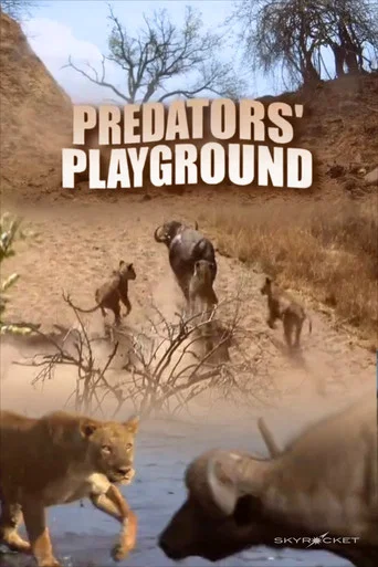 Movie poster for Predator's Playground (2012)