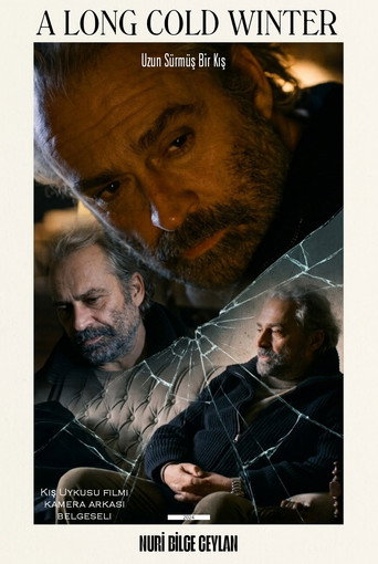 Movie poster for A Long Cold Winter (2024)