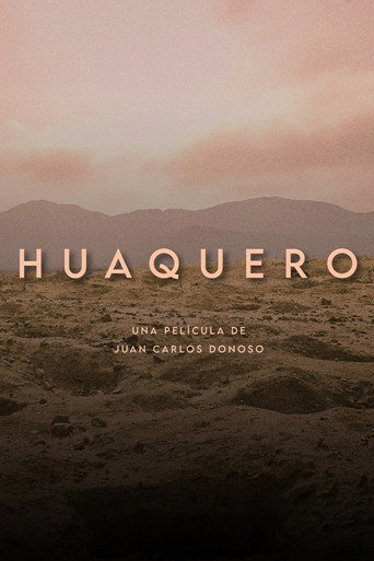 Movie poster for Huaquero (2024)