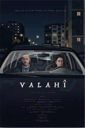 Movie poster for Void (2026)