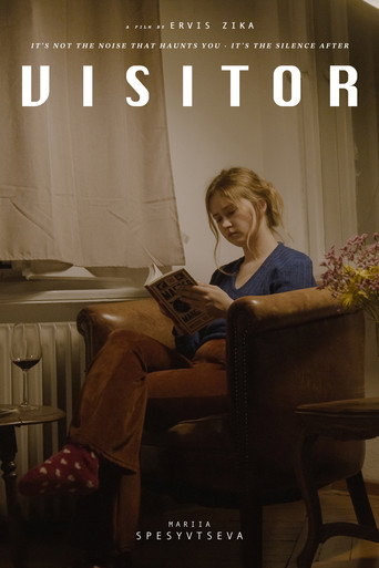 Movie poster for Visitor (2025)