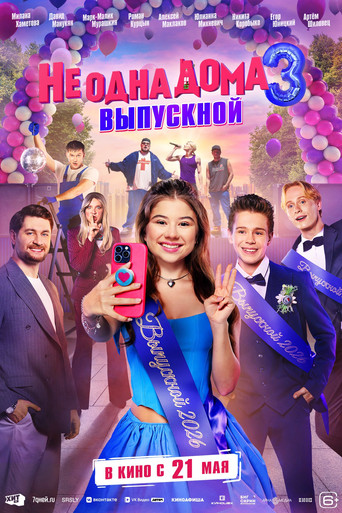 Not Home Alone 3 poster