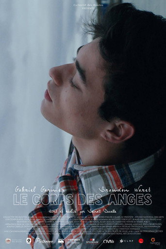 Movie poster for Body of Angels (2016)