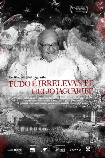 Movie poster for Tudo é Irrelevante. Hélio Jaguaribe (2017)