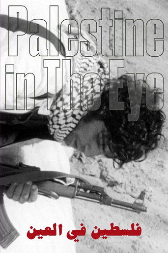 Palestine in the Eye poster