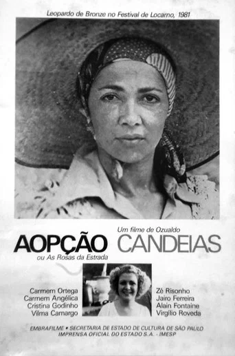 Movie poster for The Option (1981)