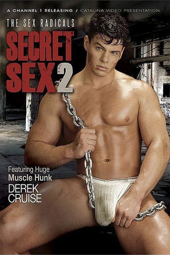 Movie poster for Secret Sex 2: The Sex Radicals (1994)