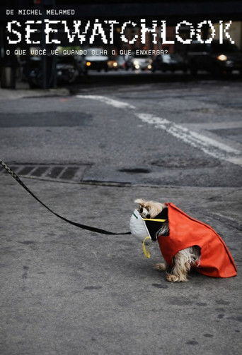 Seewatchlook – What Do You See When You Look at What You Watch? poster