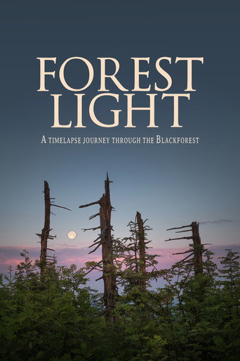 Movie poster for Forest Light (2021)