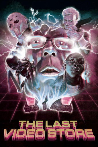 The Last Video Store poster