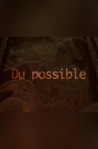 Movie poster for Du possible (2006)
