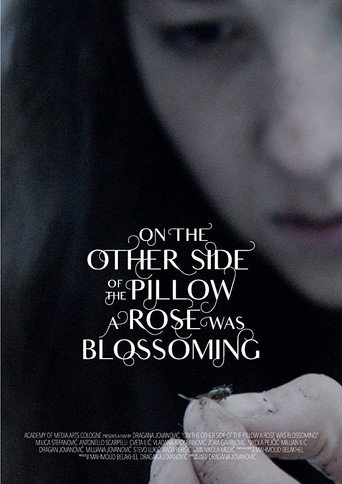 Movie poster for On the Other Side of the Pillow a Rose Was Blossoming (2018)