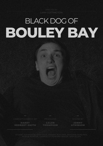 Movie poster for Black Dog of Bouley Bay (2022)