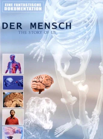 Movie poster for Der Mensch - The Story of Us (2008)