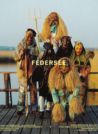 Movie poster for Federsee (2013)