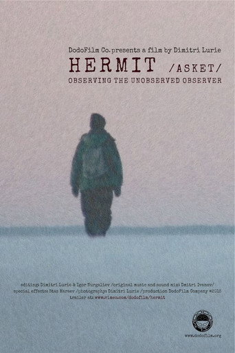 Movie poster for Hermit (2016)