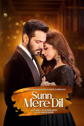 Sunn Mere Dil poster