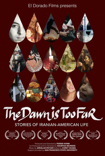 Movie poster for The Dawn is Too Far: Stories of Iranian-American Life (2024)