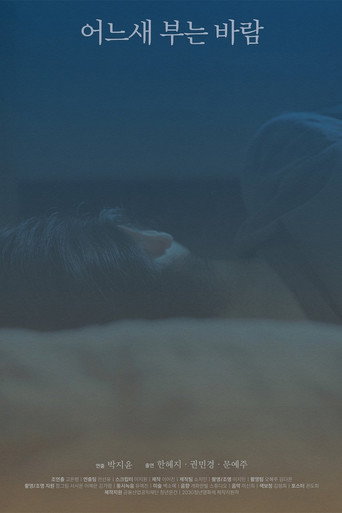 Movie poster for The Consolation of the Wind (2025)