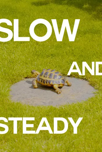 Slow and Steady poster