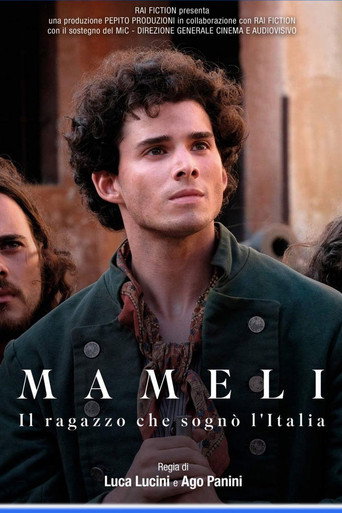Series poster for Mameli - The Boy Who Dreamed of Italy (2024)