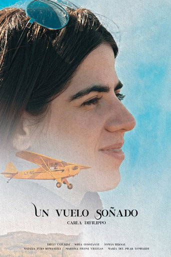 Movie poster for Un Vuelo Soñado (2025)