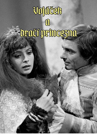 Vojáček a dračí princezna poster