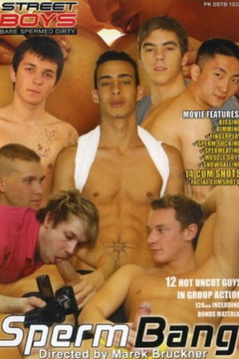Movie poster for Sperm Bang (2010)