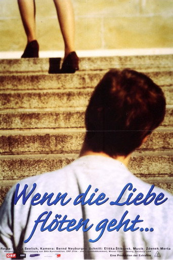 Movie poster for Wenn die Liebe flöten geht (2001)