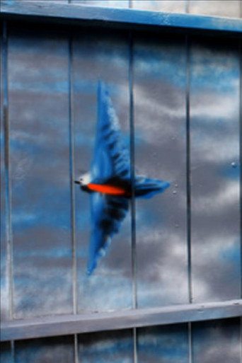 Movie poster for Spirit of the Bluebird (2011)
