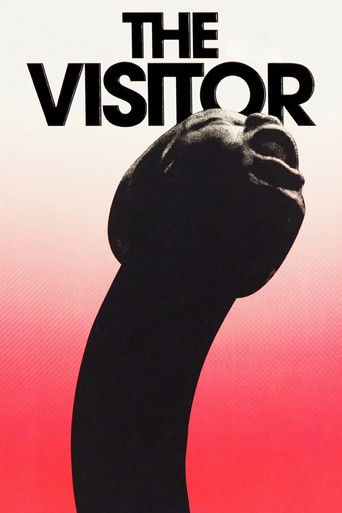 The Visitor poster