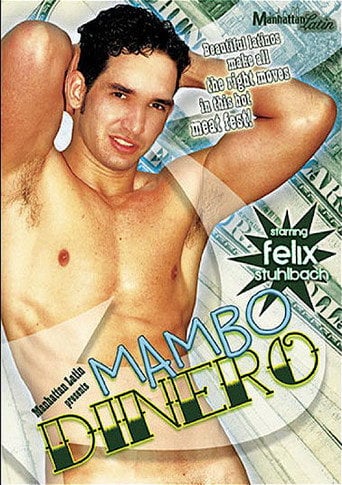 Movie poster for Mambo Dinero (2009)