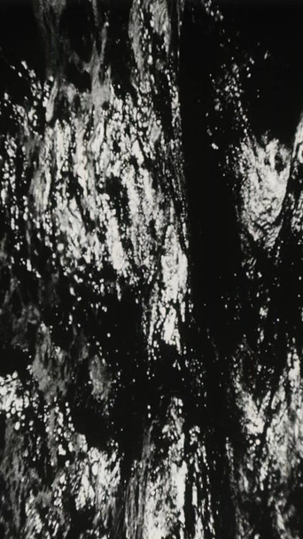 Movie poster for Bitemporal Vision: The Sea (1994)