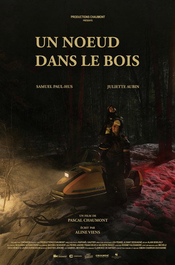 Movie poster for Un noeud dans le bois