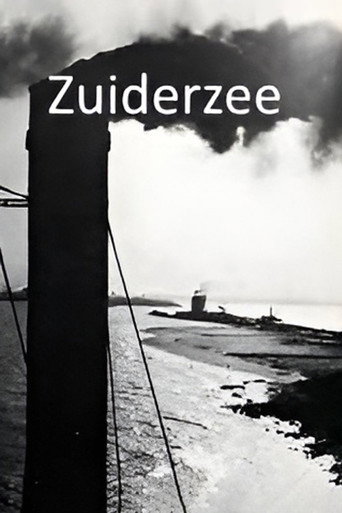 Movie poster for Zuiderzeewerken (1930)