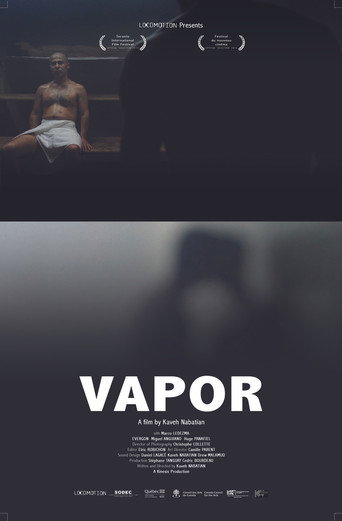 Movie poster for Steam (2010)