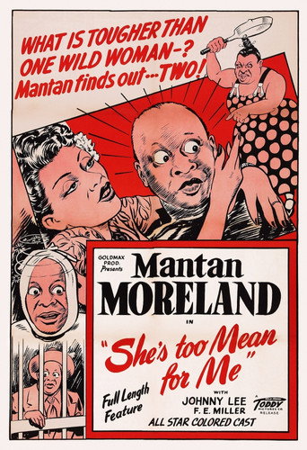 Movie poster for She's Too Mean for Me (1948)