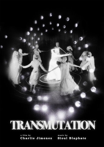 Movie poster for Transmutation (2026)