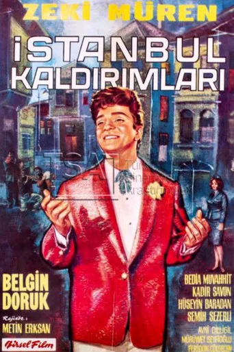 Movie poster for İstanbul Kaldırımları (1964)