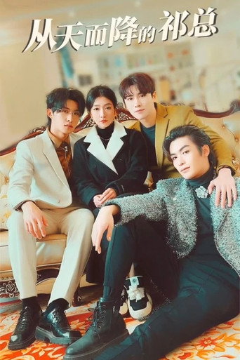 从天而降的祁总 poster