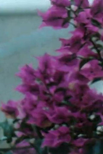 Movie poster for Spetsai (1989)