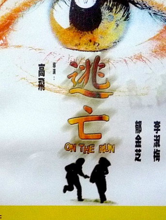 Movie poster for On the Run (1999)