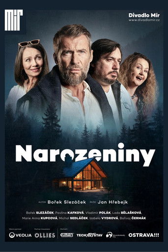 Narozeniny poster