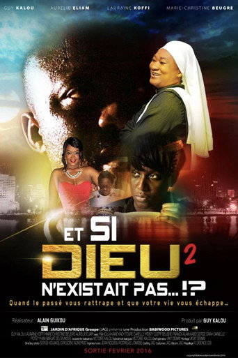 Movie poster for What if God didn't exist? 2 (2016)