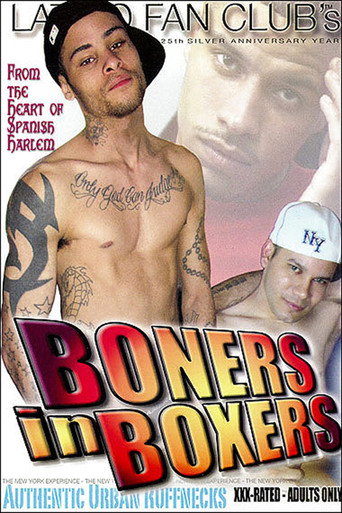 Movie poster for Boners In Boxers (2010)